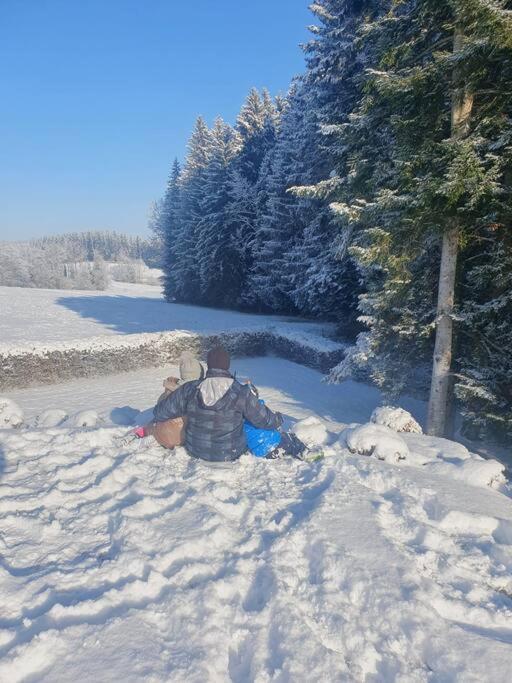 Ferienwohnung Im Allgaeu Mit Bergsicht Oberreute Εξωτερικό φωτογραφία